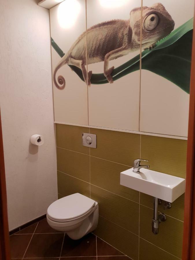 Apartament Szafir 锡隆纳葛拉 外观 照片